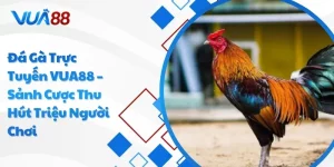 Đá gà trực tuyến