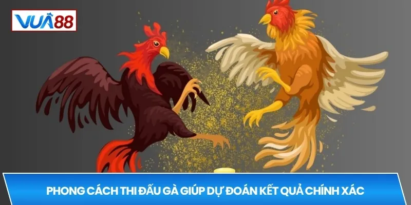 Phong cách thi đấu gà giúp dự đoán kết quả chính xác